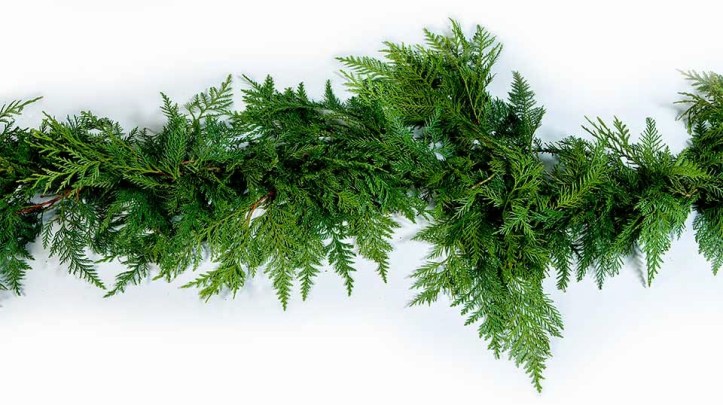 garland2.jpg