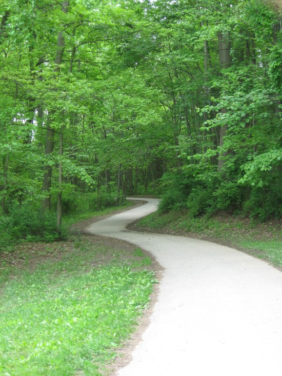 My Favorite Bit of Path