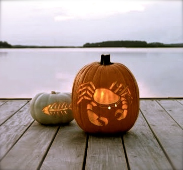 decorated-pumpkins-