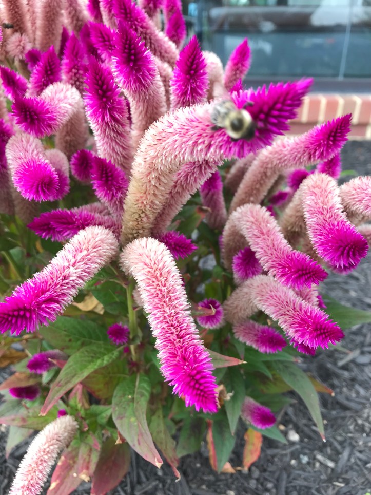 hFOuWgGPSly3gkMs00E2ww